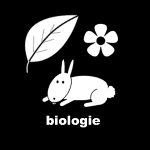 Losse picto Biologie 4x4cm