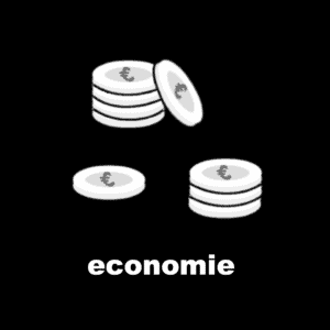 Losse picto Economie 4x4cm